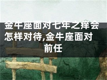 金牛座面对七年之痒会怎样对待,金牛座面对前任