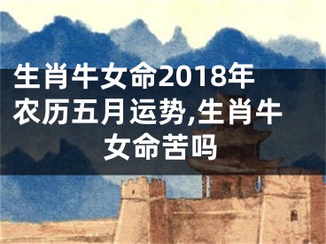 生肖牛女命2018年农历五月运势,生肖牛女命苦吗
