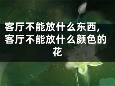 客厅不能放什么东西,客厅不能放什么颜色的花