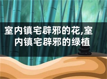 室内镇宅辟邪的花,室内镇宅辟邪的绿植