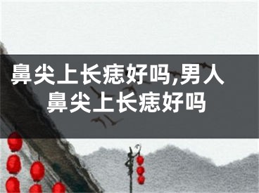 鼻尖上长痣好吗,男人鼻尖上长痣好吗