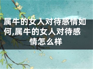 属牛的女人对待感情如何,属牛的女人对待感情怎么样