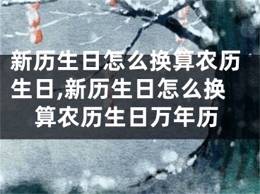 新历生日怎么换算农历生日,新历生日怎么换算农历生日万年历