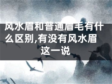 风水眉和普通眉毛有什么区别,有没有风水眉这一说
