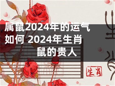 属鼠2024年的运气如何 2024年生肖鼠的贵人