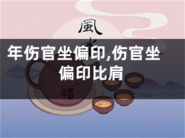 年伤官坐偏印,伤官坐偏印比肩
