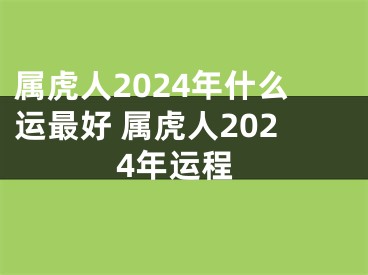 属虎人2024年什么运最好 属虎人2024年运程