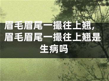 眉毛眉尾一撮往上翘,眉毛眉尾一撮往上翘是生病吗