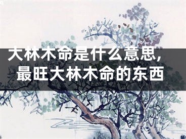 大林木命是什么意思,最旺大林木命的东西
