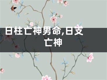 日柱亡神男命,日支 亡神