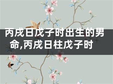 丙戌日戊子时出生的男命,丙戌日柱戊子时
