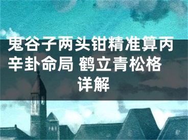 鬼谷子两头钳精准算丙辛卦命局 鹤立青松格详解