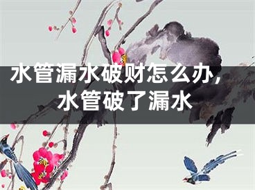 水管漏水破财怎么办,水管破了漏水
