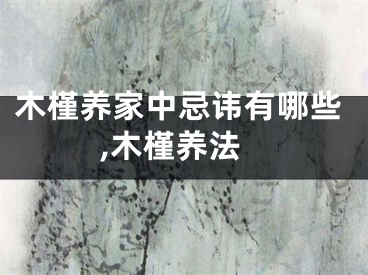 木槿养家中忌讳有哪些,木槿养法