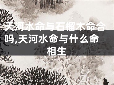 天河水命与石榴木命合吗,天河水命与什么命相生