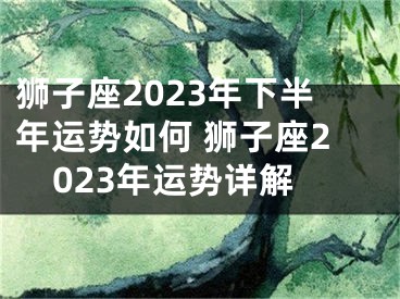 狮子座2023年下半年运势如何 狮子座2023年运势详解