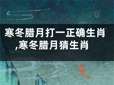 寒冬腊月打一正确生肖,寒冬腊月猜生肖