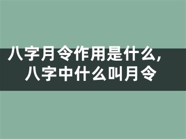 八字月令作用是什么,八字中什么叫月令