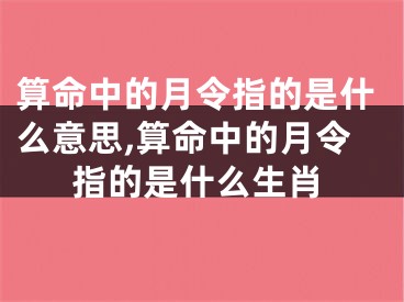 算命中的月令指的是什么意思,算命中的月令指的是什么生肖
