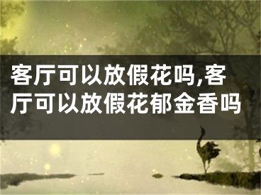 客厅可以放假花吗,客厅可以放假花郁金香吗