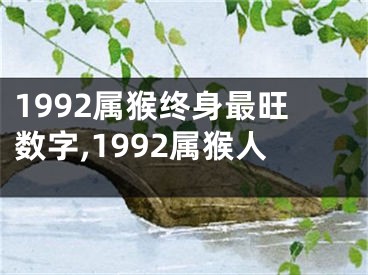 1992属猴终身最旺数字,1992属猴人