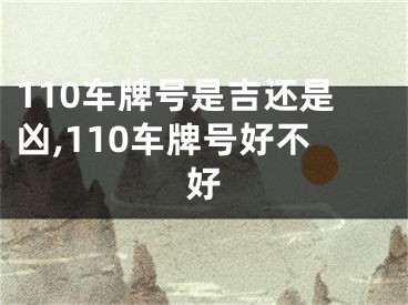 110车牌号是吉还是凶,110车牌号好不好