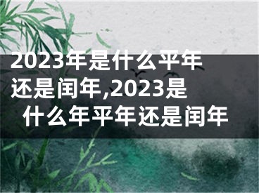 2023年是什么平年还是闰年,2023是什么年平年还是闰年