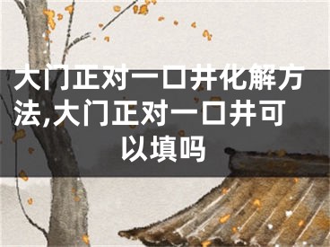 大门正对一口井化解方法,大门正对一口井可以填吗