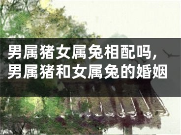 男属猪女属兔相配吗,男属猪和女属兔的婚姻