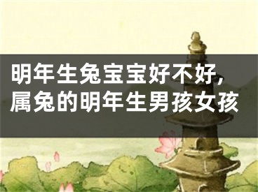 明年生兔宝宝好不好,属兔的明年生男孩女孩