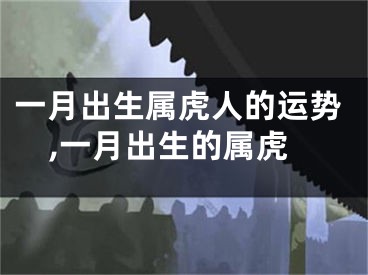 一月出生属虎人的运势,一月出生的属虎