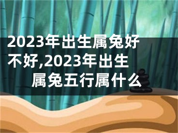2023年出生属兔好不好,2023年出生属兔五行属什么