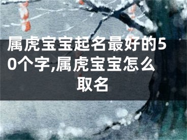 属虎宝宝起名最好的50个字,属虎宝宝怎么取名