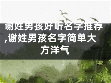 谢姓男孩好听名字推荐,谢姓男孩名字简单大方洋气