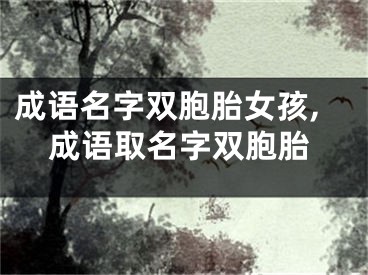 成语名字双胞胎女孩,成语取名字双胞胎