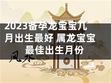 2023备孕龙宝宝几月出生最好 属龙宝宝最佳出生月份