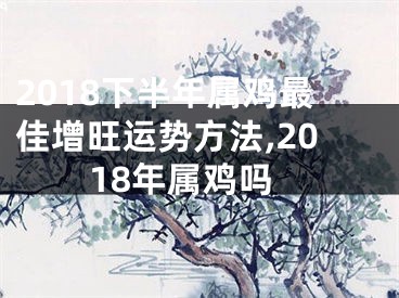 2018下半年属鸡最佳增旺运势方法,2018年属鸡吗