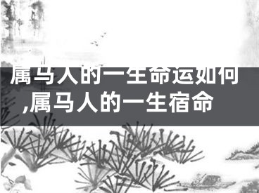 属马人的一生命运如何,属马人的一生宿命
