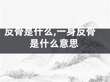 反骨是什么,一身反骨是什么意思