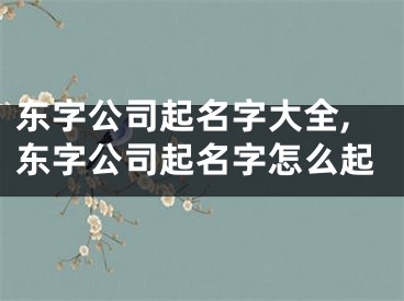 东字公司起名字大全,东字公司起名字怎么起