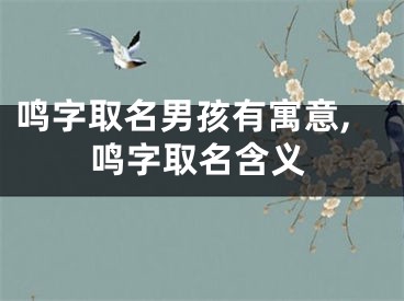 鸣字取名男孩有寓意,鸣字取名含义
