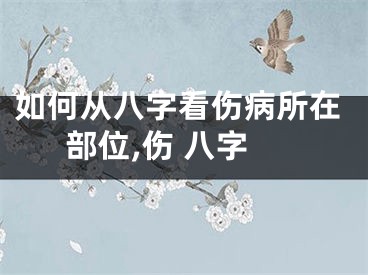 如何从八字看伤病所在部位,伤 八字