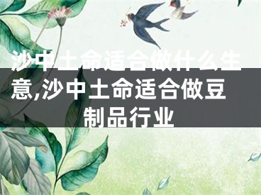 沙中土命适合做什么生意,沙中土命适合做豆制品行业
