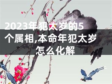 2023年犯太岁的5个属相,本命年犯太岁怎么化解