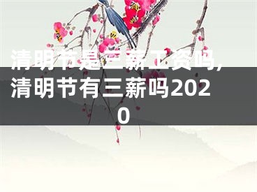 清明节是三薪工资吗,清明节有三薪吗2020