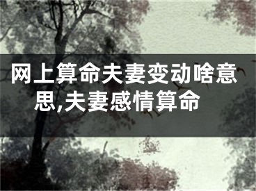 网上算命夫妻变动啥意思,夫妻感情算命