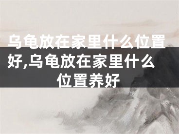 乌龟放在家里什么位置好,乌龟放在家里什么位置养好