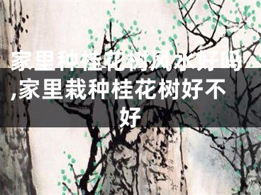 家里种桂花树风水好吗,家里栽种桂花树好不好
