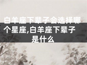 白羊座下辈子会选择哪个星座,白羊座下辈子是什么