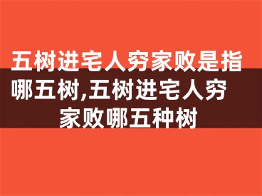 五树进宅人穷家败是指哪五树,五树进宅人穷家败哪五种树